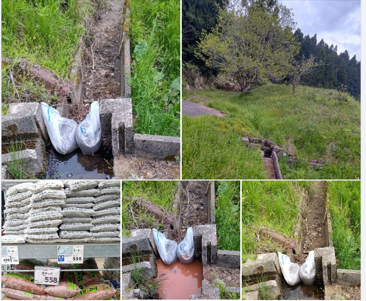 う〜ん?誰が何のためにしてるんだろう?-2024-04-29