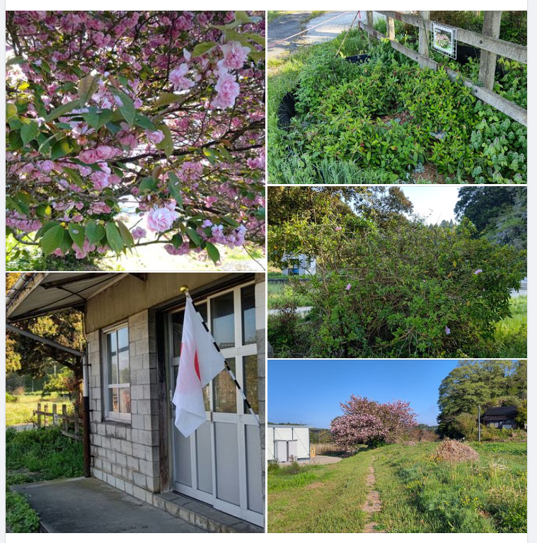 ５月3日は旗日なので、立憲共産党が大嫌いな日の丸を掲げておきました-2024-05-03