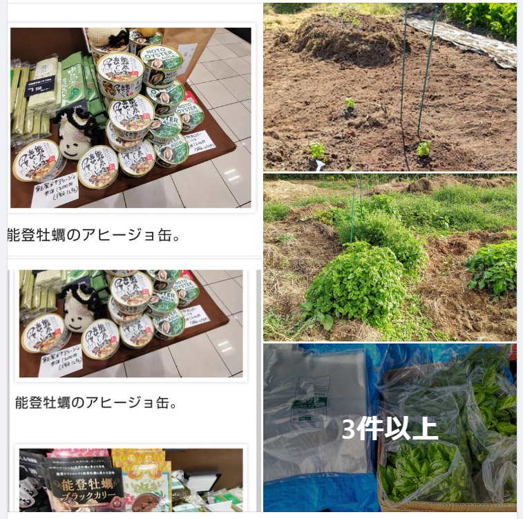 みどりの缶詰は今年発売のバジルの入った新作です-2024-05-09