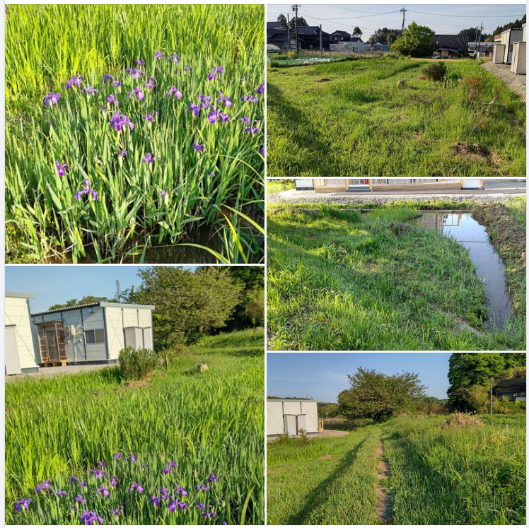 甲消防分団は来年３月末で退団すると岡田分団長にすでに伝えてあります-2024-05-11