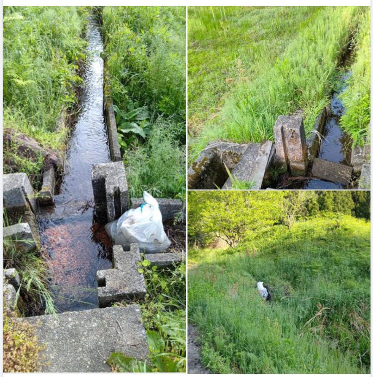 やっぱりふさがれた-2024-05-11