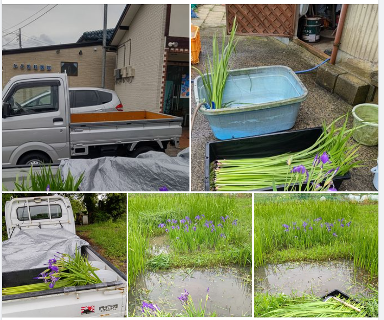 ご注文ありがとうございましたm(_ _)m-2024-05-13