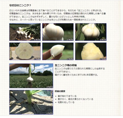 森本石油さんとにんにくの収穫時期の話をしてました-2024-06-03