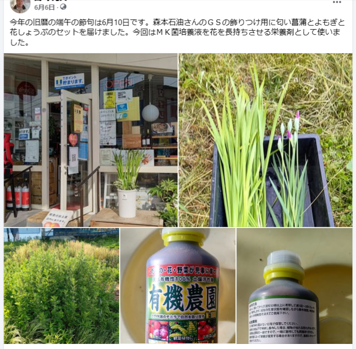 森本石油さんのＧＳの飾りつけ用に匂い菖蒲とよもぎと花しょうぶのセットを届けました-2024-06-06