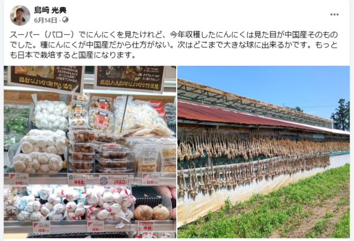 日本で栽培すると国産になります-2024-06-14