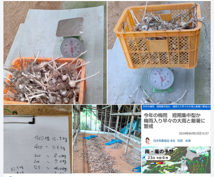 今年は石川県は6月21日に梅雨入りしました-2024-06-24