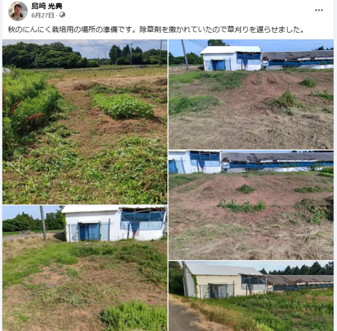 秋のにんにく栽培用の場所の準備です-2024-06-27