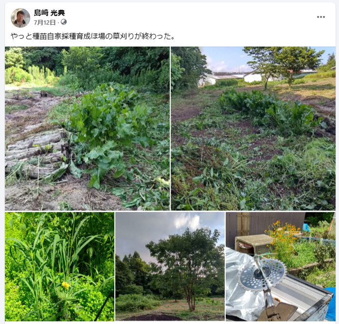 やっと種苗自家採種育成ほ場の草刈りが終わった-2024-07-12