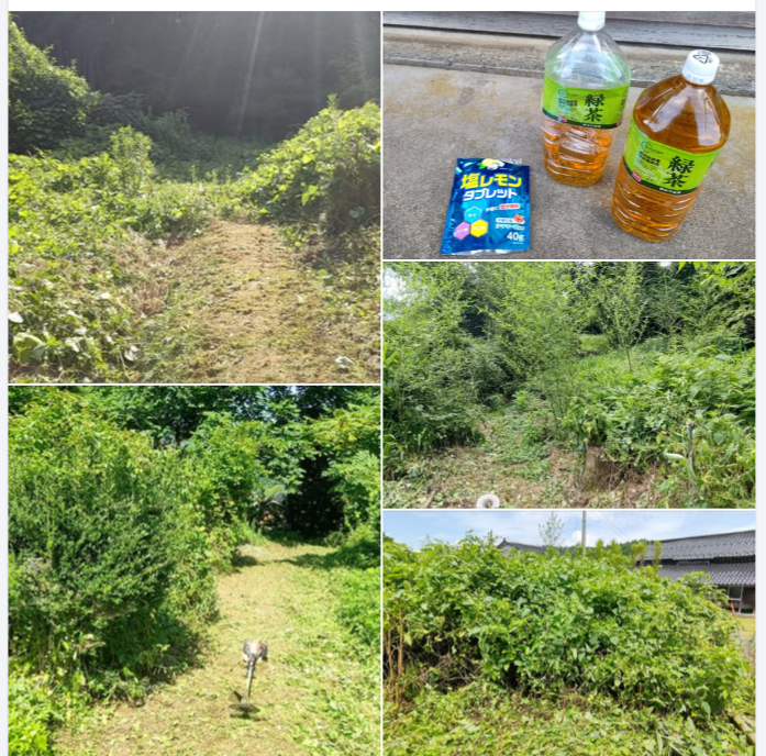 今日は朝から暑い。軽い熱中症になってます-2024-07-25