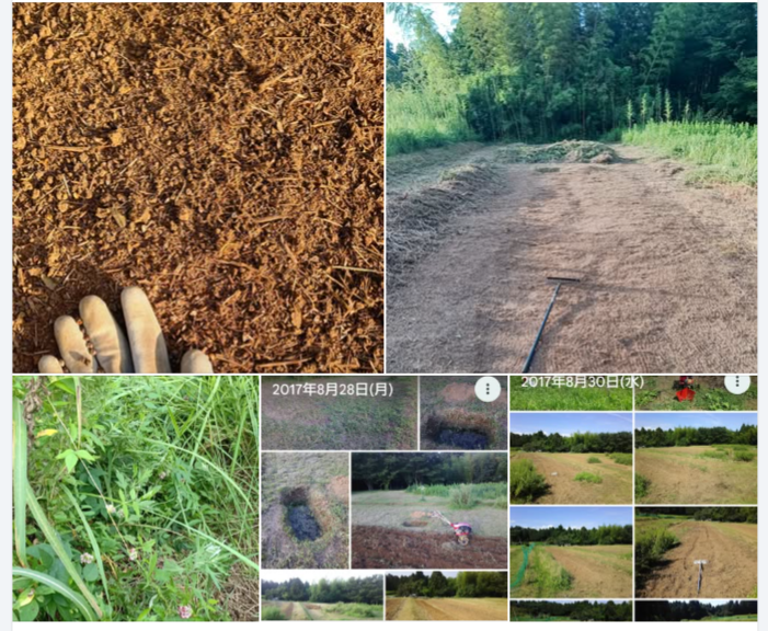 2017年以来のソバの種まきしましたが、時間が取れないので、耕運機を゙使わないで直播き（じかまき）です-2024-08-14