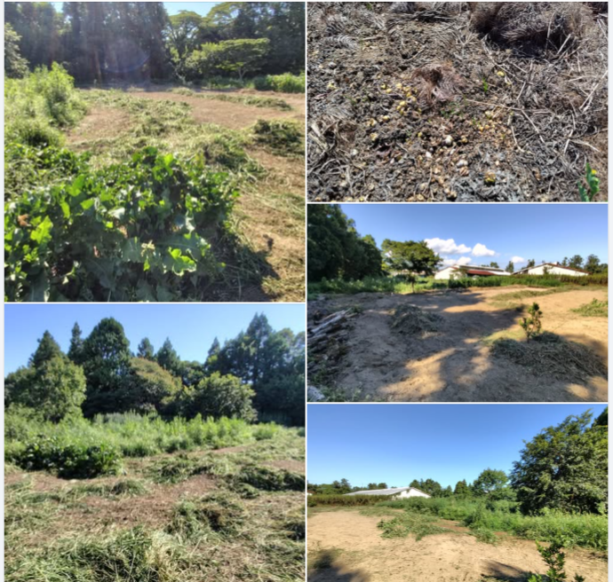 今日は朝から暑い。終わらなかった-2024-09-10