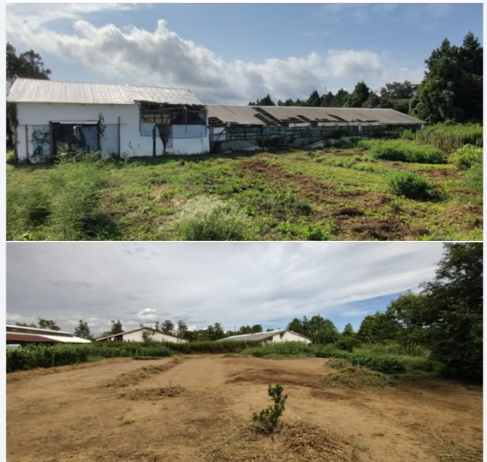 数日前に大家さんからここにある建物を公費解体することにしました、と教えてもらいました-2024-09-14