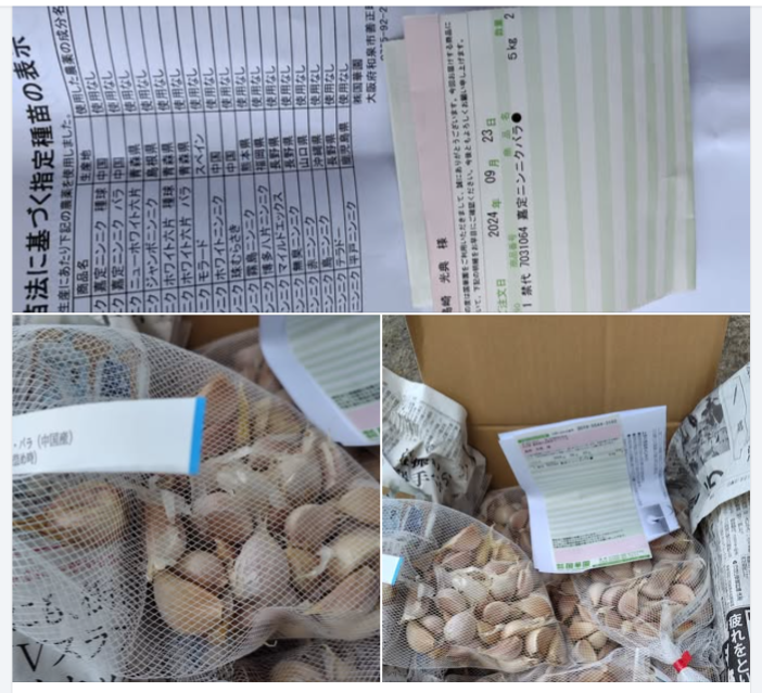 にんにくの種球（バラ）10kg届いた-2024-09-26