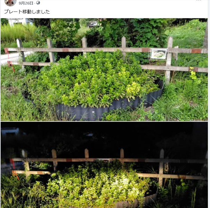 プレート移動しました-2024-09-26