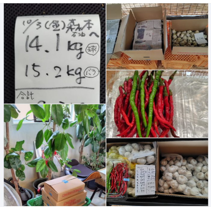 先ほど森本石油さんにニンニクととうがらしを届けました-2024-10-04