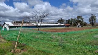 私が借りている建物以外、取り壊しました-2025-04-15