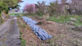 今年は防草シートで雑草対策をします-2025-04-26
