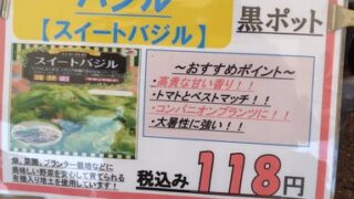 金沢市にあるJA直売所のほがらか村で石川県産の苗を買ってきました-2025-04-27