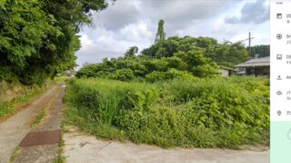 草刈りをしないとどうなっていくのか？-2025-04-28