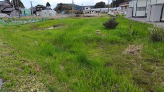 生け花の先生からご注文をいただいています-2025-05-01