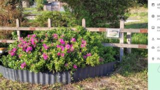 甲復興団さんが花壇作りを始めました-2025-05-04