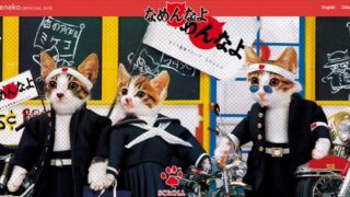 Xのフォロワーさんが800人を超えました-2025-05-08