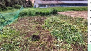 1日中、セイタカアワダチソウなどの草刈りをしてました-2025-05-14