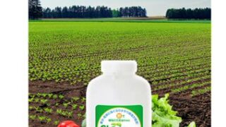 お酢は有機JASでも使えます-2025-05-14