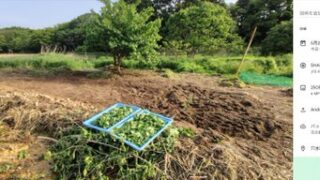 ５月１２日から作業をしています-2025-05-20