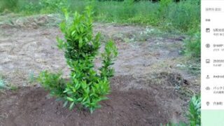 わたしはこれらが原因で消防団を辞めました-2025-05-30