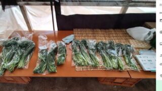 ニンニクの芽を本当に少量ですが、金沢中央卸売市場の「顔の見える能登の食材コーナー」に出荷しました-2025-05-31