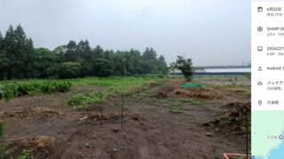 昨日（6月22日）の猛暑から一転しての大雨でスマホのカメラが壊れました(泣)-2025-06-23