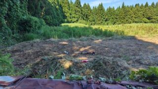 石川・穴水町で山林火災　約6時間後に鎮火　けが人の情報なし-2025-07-27