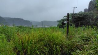 もの凄い雨が毎日続いてます。 穴水町にある廃線跡の甲(かぶと)駅です-2025-08-12