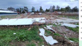 公費解体した跡地の緑化は来春以降です2025-10-03