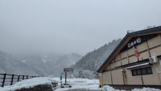 道の駅白馬で行者にんにくの苗を6本買ってきました-2025-03-04