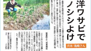 イノシシ避けの仕組みを作ってます-2025-03-06