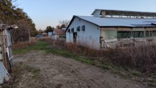 養鶏場だった建物を公費解体する予定です-2025-03-17