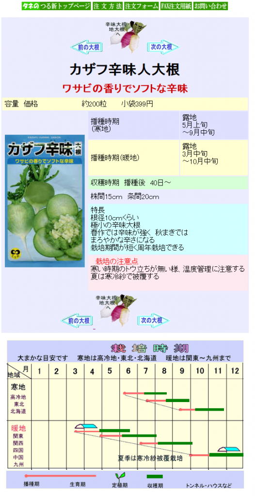 辛味大根 カザフ辛味大根