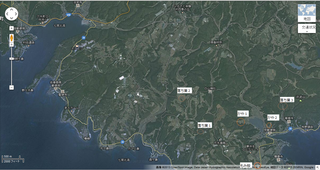 Google マップ -落ち葉集め