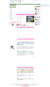 ハーブ ボリジの育て方、効果・効能など|ハーブのホームページ