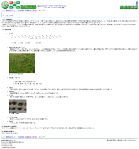 島根県 - エビスグサ