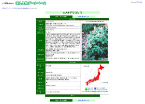 ヒメオドリコソウ - 国立環境研究所 侵入生物DB