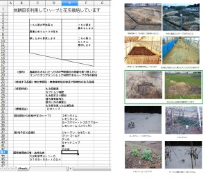 ６号圃場　看板
