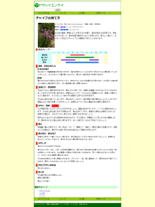 チャイブの育て方｜ヤサシイエンゲイ 2014-06-30 21-35-47