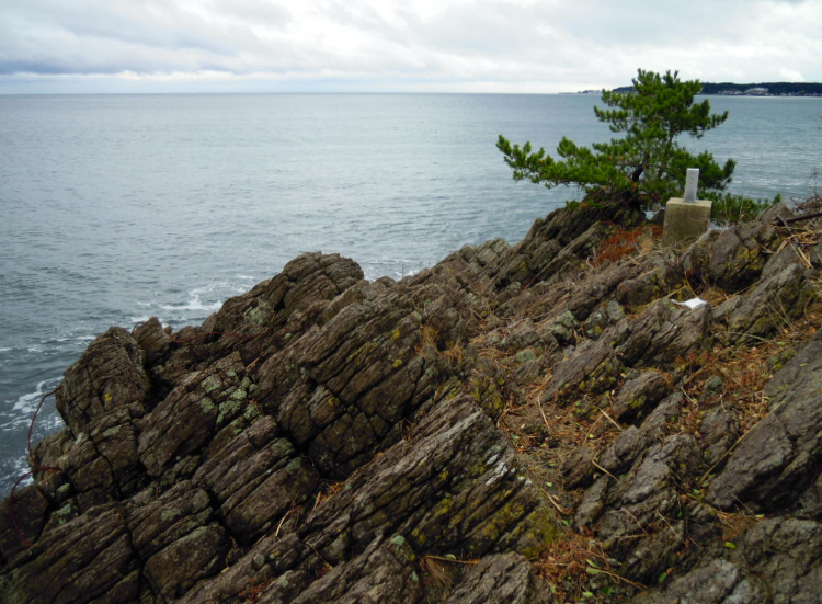 １月１日のアルバム 2011-01-01