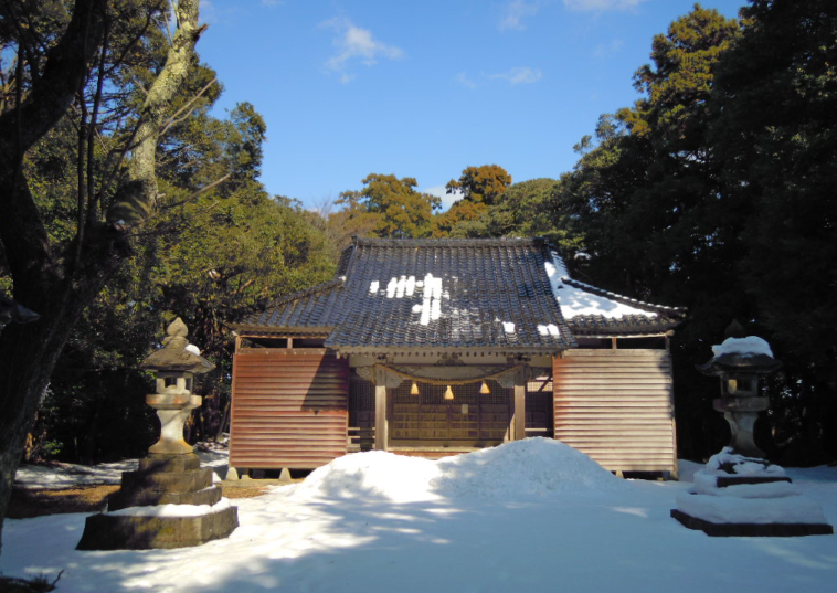 雪かき 2011-02-03