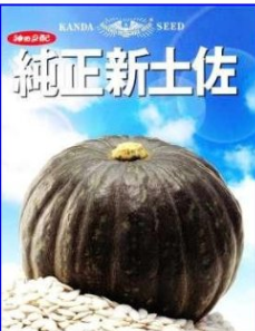 ４月２日の作業 2011-04-02