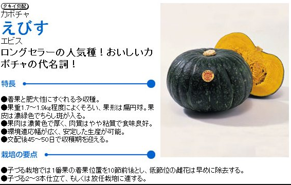 ４月４日の作業 2011-04-04