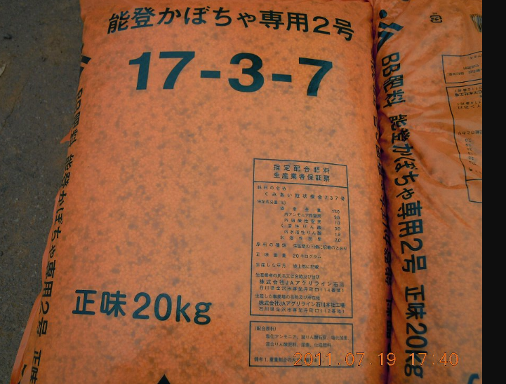 東京かぼちゃに追肥してみた 2011-07-31